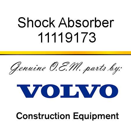 Shock Absorber 11119173