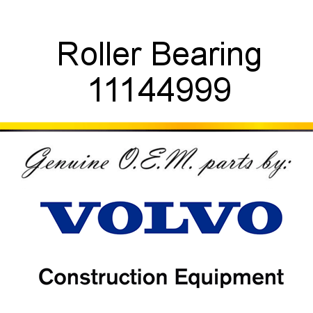 Roller Bearing 11144999