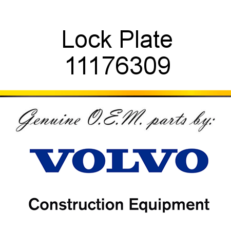 Lock Plate 11176309