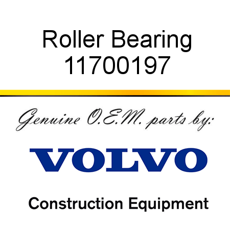 Roller Bearing 11700197