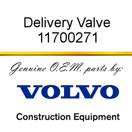 Delivery Valve 11700271