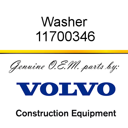 Washer 11700346