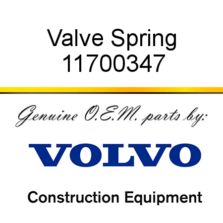 Valve Spring 11700347