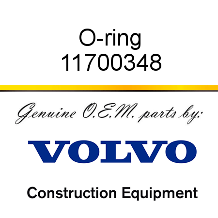 O-ring 11700348