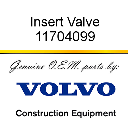 Insert Valve 11704099