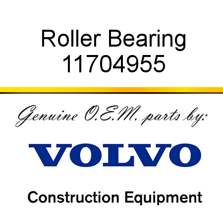 Roller Bearing 11704955