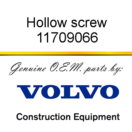 Hollow screw 11709066