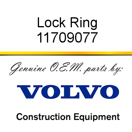 Lock Ring 11709077