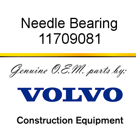 Needle Bearing 11709081