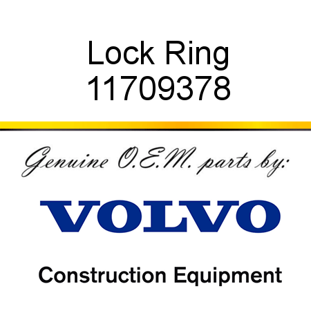Lock Ring 11709378