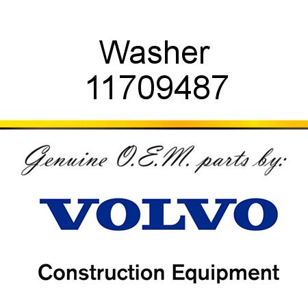 Washer 11709487