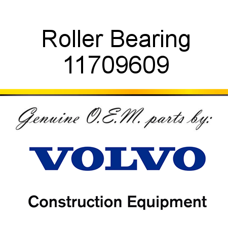 Roller Bearing 11709609