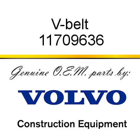 V-belt 11709636