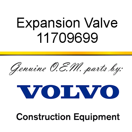 Expansion Valve 11709699