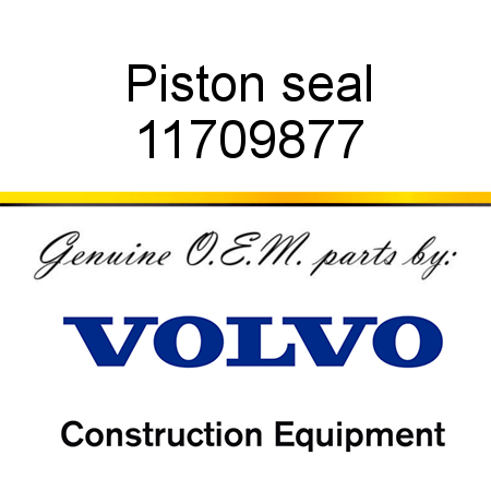 Piston seal 11709877