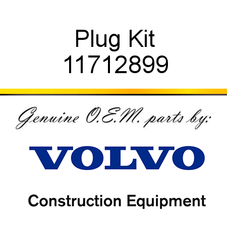 Plug Kit 11712899