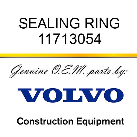 SEALING RING 11713054