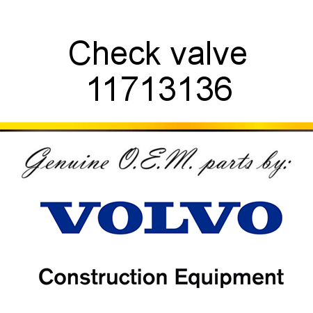 Check valve 11713136