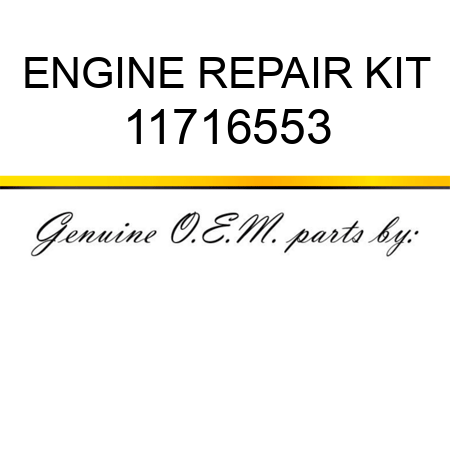 ENGINE REPAIR KIT 11716553