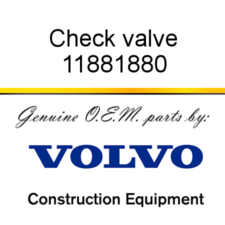 Check valve 11881880