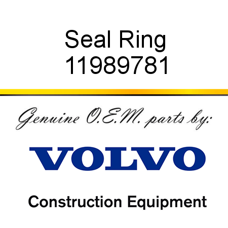 Seal Ring 11989781