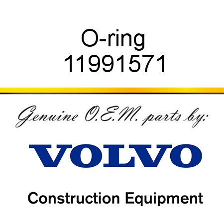 O-ring 11991571