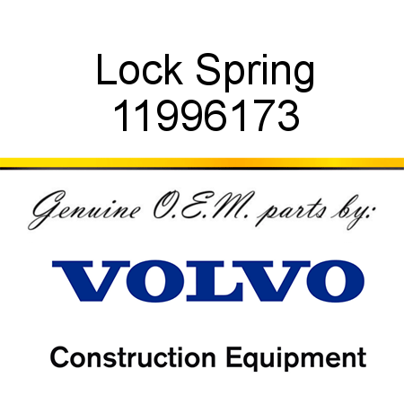 Lock Spring 11996173