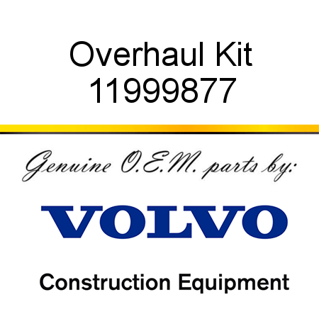 Overhaul Kit 11999877