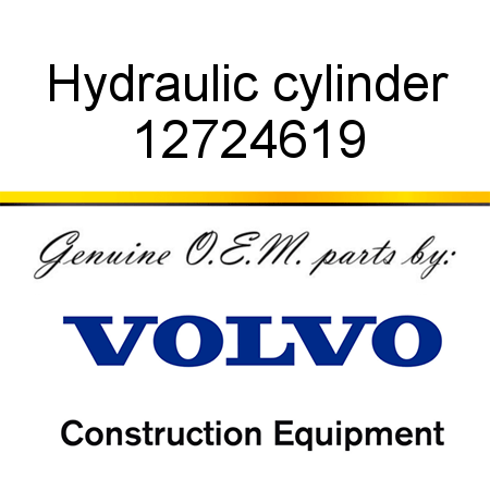 Hydraulic cylinder 12724619