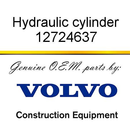 Hydraulic cylinder 12724637