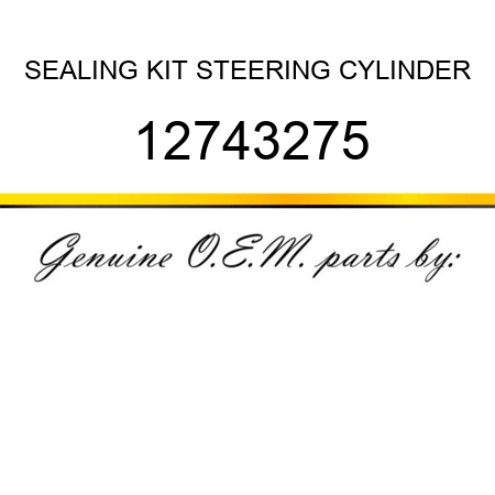 SEALING KIT STEERING CYLINDER 12743275