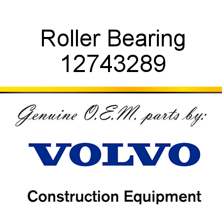 Roller Bearing 12743289