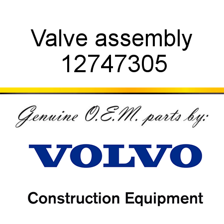 Valve assembly 12747305