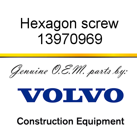 Hexagon screw 13970969