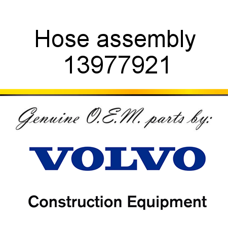 Hose assembly 13977921
