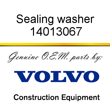 Sealing washer 14013067