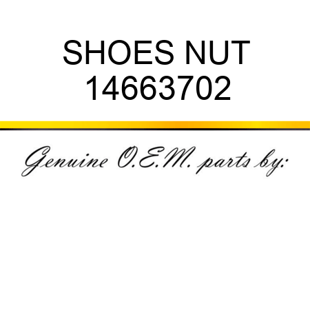 SHOES NUT 14663702