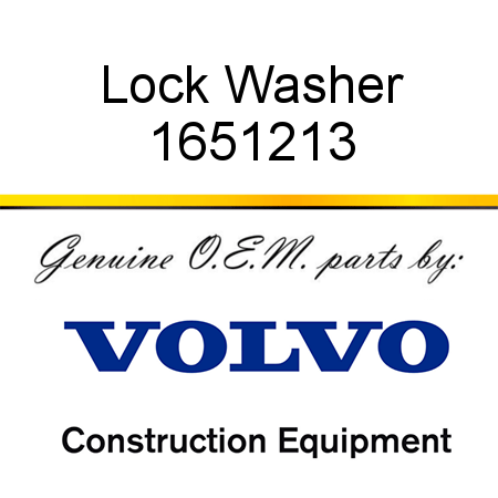 Lock Washer 1651213