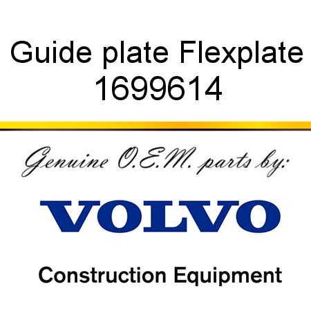 Guide plate, Flexplate 1699614