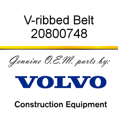 V-ribbed Belt 20800748