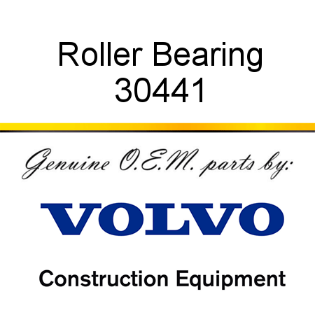 Roller Bearing 30441