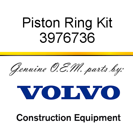 Piston Ring Kit 3976736