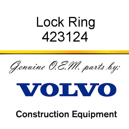 Lock Ring 423124