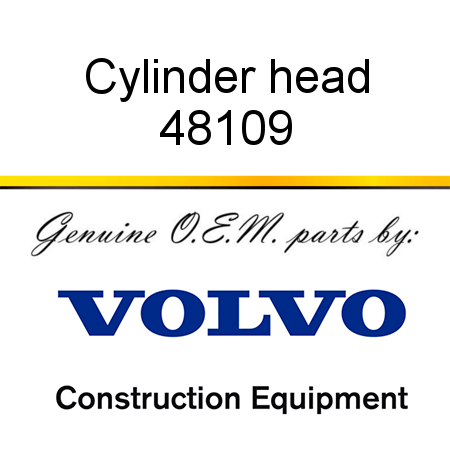Cylinder head 48109