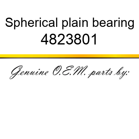 Spherical plain bearing 4823801