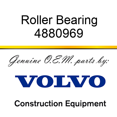 Roller Bearing 4880969