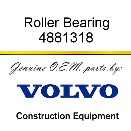 Roller Bearing 4881318