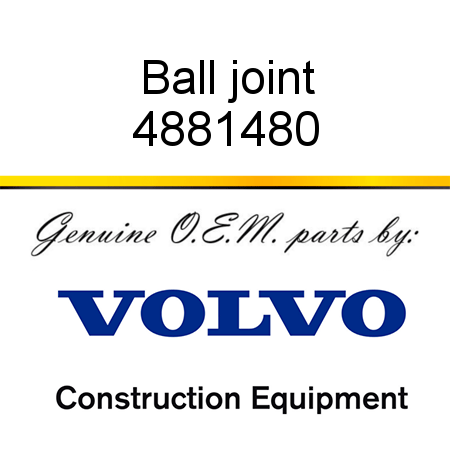 Ball joint 4881480