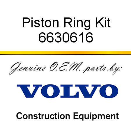 Piston Ring Kit 6630616