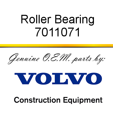 Roller Bearing 7011071